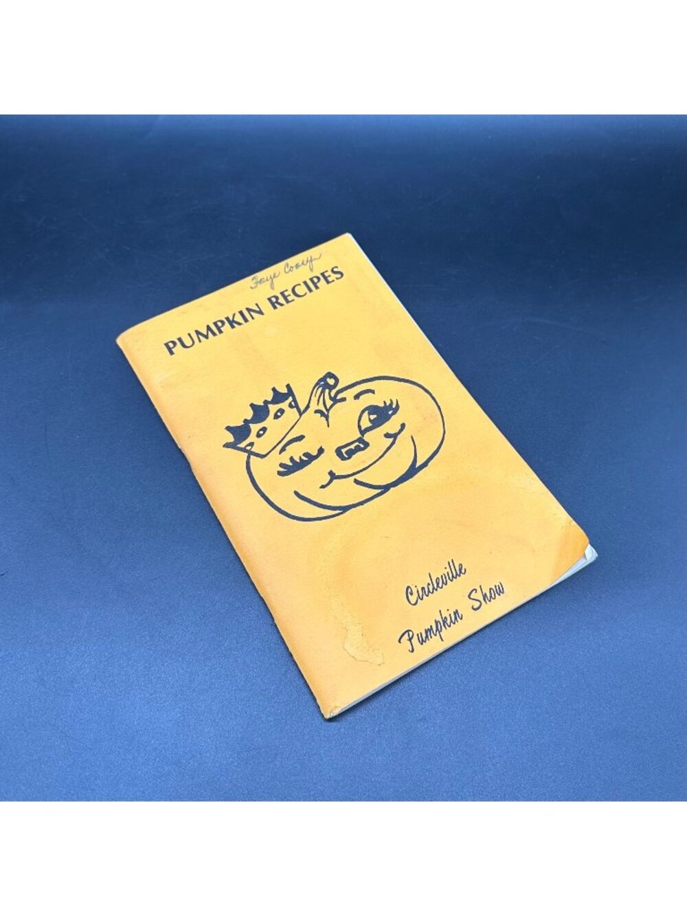 Vintage Cookbook 1970s Circleville Ohio Pumpkin Recipes Book Fall Kitschy